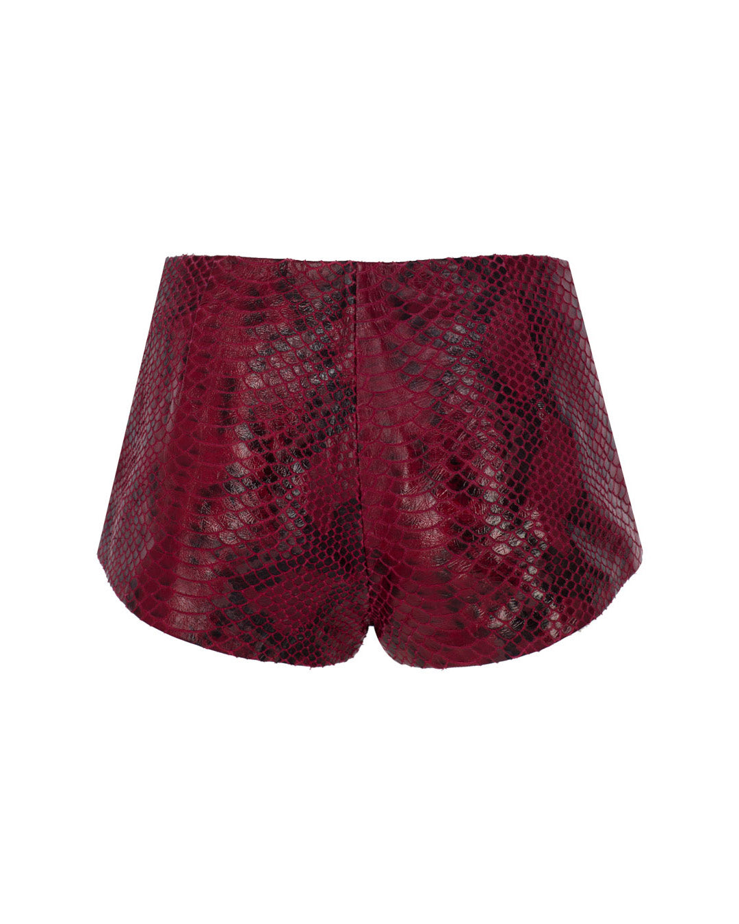 Micro Leather Shorts