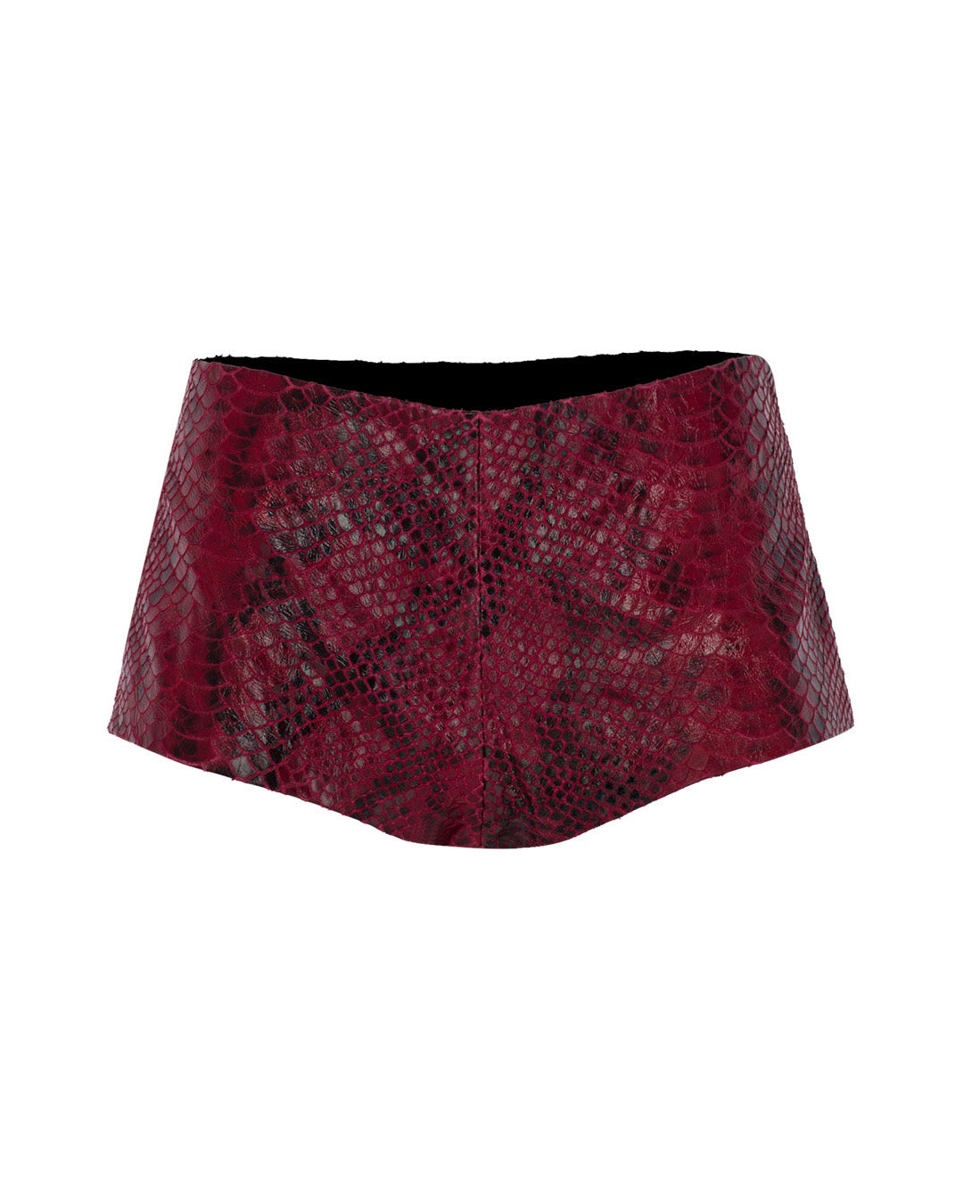 Micro Leather Shorts