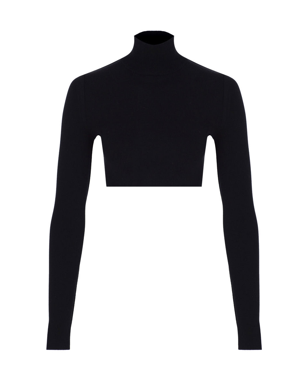Turtleneck Knit Crop Top