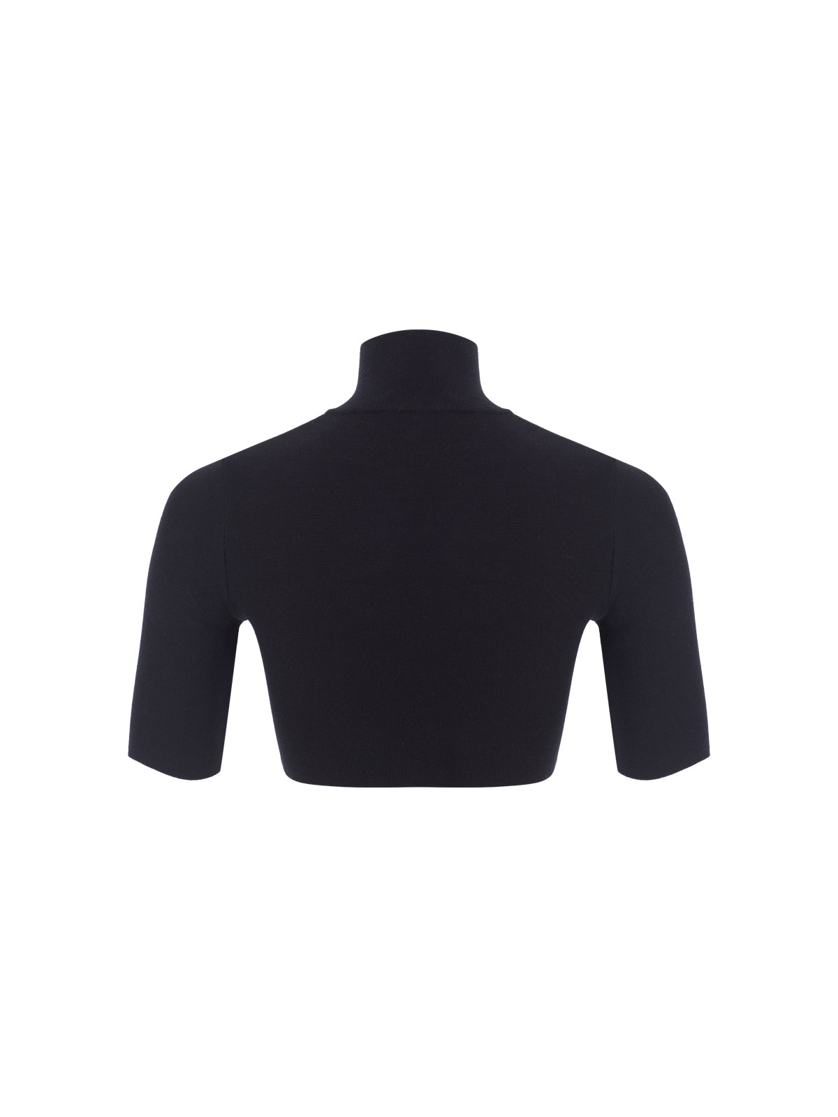 Turtleneck Crop Knit Top