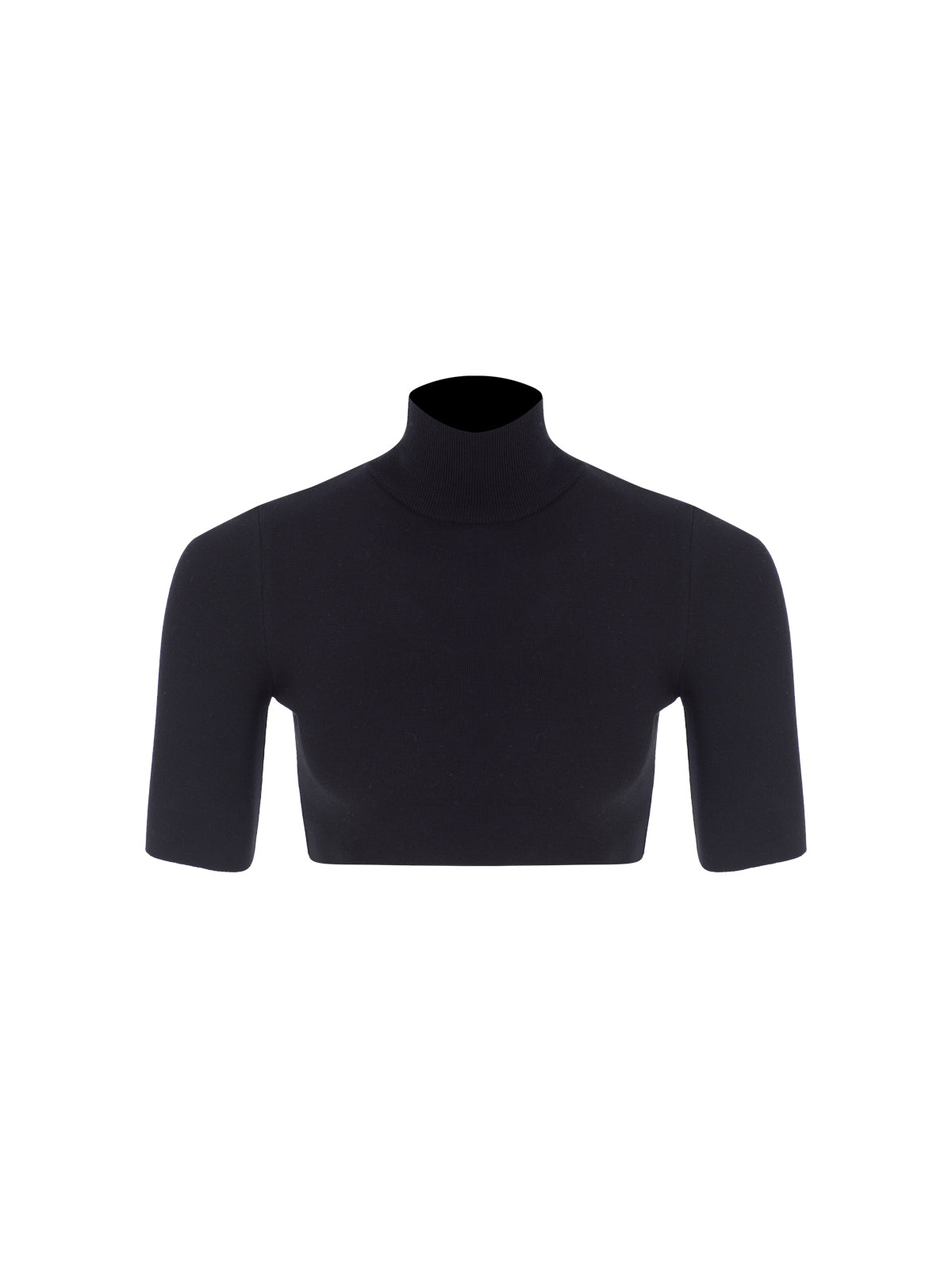 Turtleneck Crop Knit Top
